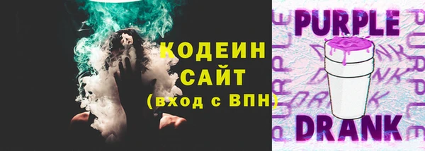 хмурый Няндома