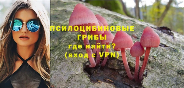 ECSTASY Абаза
